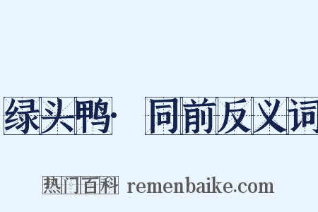 绿头鸭·同前反义词是什么意思的图片